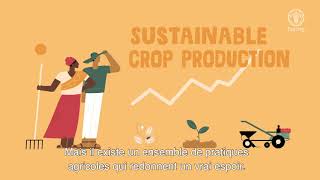 L’agriculture durable est possible [upl. by Buonomo]