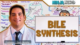 Gastrointestinal  Bile Synthesis [upl. by Acnayb395]