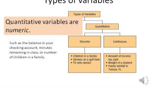 Introduction to Business Statistics Lesson 1 [upl. by Cl635]