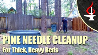 Easy Pine Needle Clean Up [upl. by Ssor759]