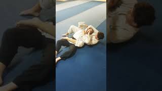 Katame Waza Transitions  Jukido Jujitsu [upl. by Noyar]