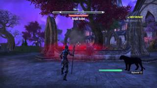 The Elder Scrolls Online test the wabbajack [upl. by Arahahs]