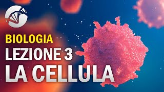 BIOLOGIA  Lezione 3  La Cellula Eucariota [upl. by Joseph173]