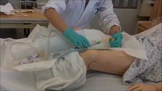 foley catheter insertion [upl. by Peugia]