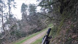 Bishops Woods MTB [upl. by Quirk]