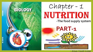 Nutrition  The Food Supply System 10th Biology Part 1 [upl. by Gally]