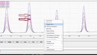 LabSolutions LCGC Workstation Basic Data Analysis [upl. by Wren]