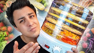 Je teste une MACHINE À DÉSHYDRATER les aliments [upl. by Lednyk]