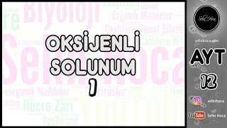 13 Oksijenli Solunum 1 [upl. by Ittap197]