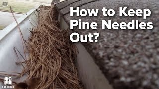 How to Keep Pine Needles Out of Gutters FINALLY [upl. by Russi]