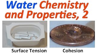 water Part 2 Demonstrations [upl. by Lunnete]