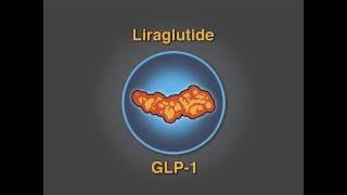 Liraglutide and Cardiovascular Outcomes [upl. by Nniroc102]