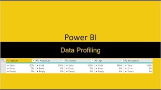 Data Profiling Power BI [upl. by Bergh720]