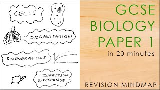 Biology Paper 1 Model Answers [upl. by Balfour879]