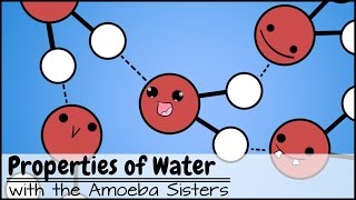 Properties of Water [upl. by Lodge]