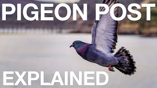 Pigeon Post  Explained [upl. by Anirod375]