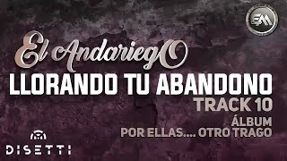 El Andariego  Llorando Tu Abandono  Música Popular [upl. by Aenej]