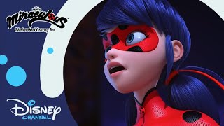 Dla dobra świata  Miraculous Biedronka i Czarny Kot  Disney Channel Polska [upl. by Zzaj]