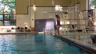 Teach a Flip for Springboard Diving [upl. by Aym]