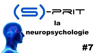 La neuropsychologie en 4 points  Sprit 7 [upl. by Immac]