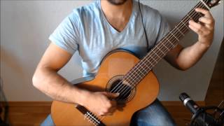 The Bannered Mare  The Elder Scrolls V Skyrim on Guitar [upl. by Allyce]