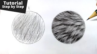 How to Draw Realistic Fur for Beginners [upl. by Akimrehs629]