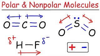 Polar and Nonpolar Molecules [upl. by Inafets902]