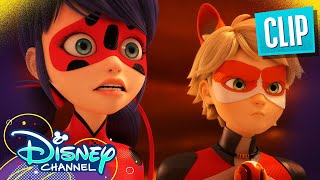 Strikeback  Miraculous Ladybug  disneychannel x Miraculous [upl. by Pacorro]