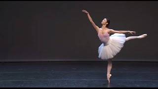 Ballet Evolved The Evolution of Pointe Work [upl. by Ahsekad]