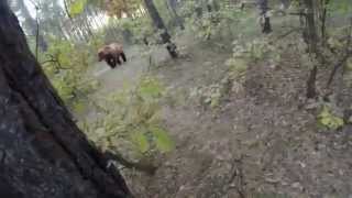 Man chased by a bear through the woods on a mountain bike 3 Peaks Cycles [upl. by Jehovah]