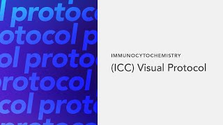 Immunocytochemistry ICC Visual Protocol [upl. by Anazraf]