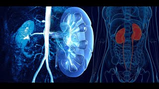 NEPHRON Structure amp Function Made Easy  Human Excretory System Simple Explanation [upl. by Novla]