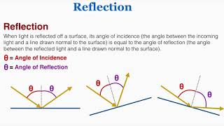 Reflection  IB Physics [upl. by Aik]