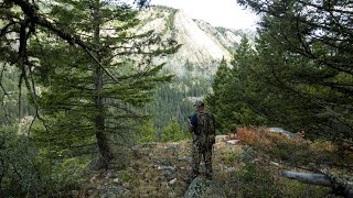 How to Find the Best Elk Hunting Areas [upl. by Lamond]