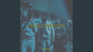 Focado Na Mi feat XROOTZ [upl. by Yehc]