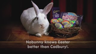 Cadbury Bunny commercial [upl. by Tepper]