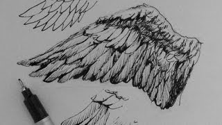 Pen amp Ink Drawing Tutorials  How to draw wings [upl. by Nitaf]