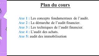 EP 5 Audit génerale Démarche daudit financier [upl. by Eecyaj887]