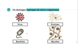 Les microorganismes 🦠 [upl. by Adelina41]