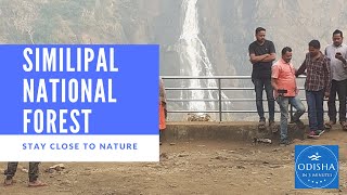 The Beautiful Similipal National Forest  Barehipani Eco Resort [upl. by Arnuad]