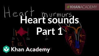 Systolic murmurs diastolic murmurs and extra heart sounds  Part 1  NCLEXRN  Khan Academy [upl. by Eletnahc554]