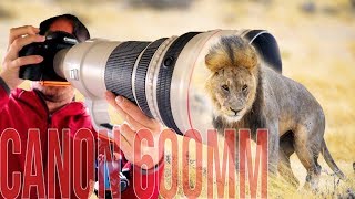 Canon 600mm f4 IS BEST Lens for WILDLIFE Photography [upl. by Aihseuqram]