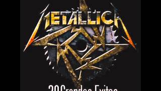 METALLICA 30 GRANDES EXITOS [upl. by Wehttan]