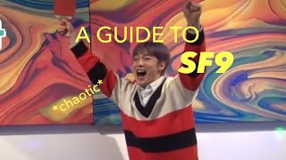 A Helpful Guide To SF9 [upl. by Renfred]