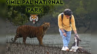 Similipal National Park and Tiger Reserve Mayurbhanj [upl. by Weismann78]