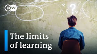 The limits of learning – kids in crisis  DW Documentary [upl. by Terrill]