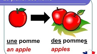 French Lesson 92  Plural nouns Grammar Rules Pronunciation  Le pluriel des noms en français [upl. by Eiramanel]