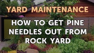 How to Get Pine Needles Out From Rock Yard [upl. by Croteau]