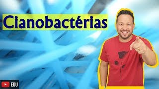 Cianobactérias ou Algas Azuis  Microbiologia  Biologia com o Tubarão [upl. by Amandy]