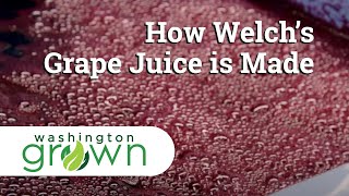 How Welchs Grape Juice Is Made  Washington Grown [upl. by Anik]